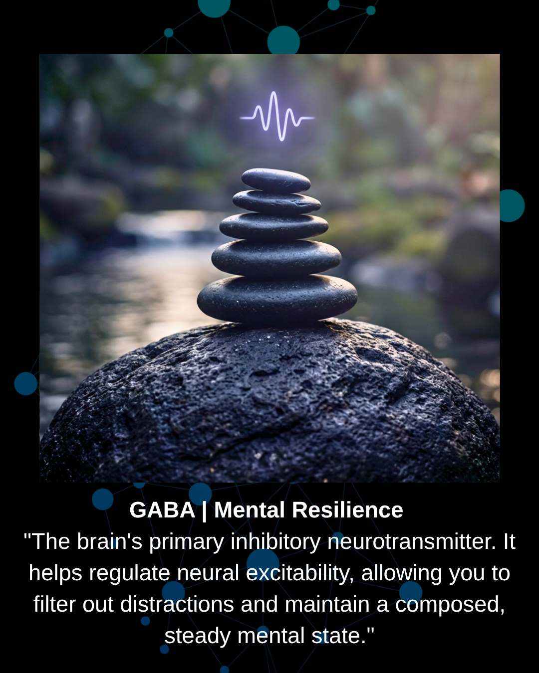 GABA inhibitory neurotransmitter extract for mental resilience, regulating neural excitability, reducing distractions, and maintaining a steady composed mental state.